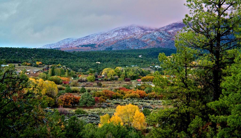 Taos Goji Farm & Eco-Lodge Retreat Arroyo Seco Exterior photo